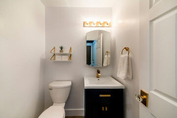 Modern powder room design with matching gold fixtures
