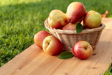Fresh juicy pears in a basket.