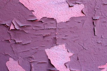 Peeling pink paint on the wall. Pink background with cracks and defects in the paint