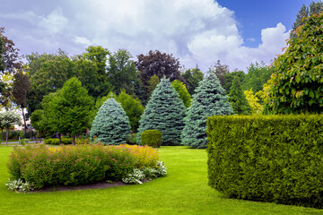 landscaping of a park with a garden bed and deciduous trees with leaves and pine needles on a green lawn, evergreen and seasonal plants in the backyard.
