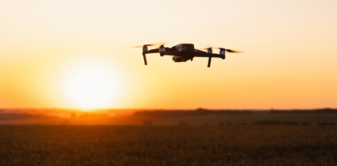 Fototapeta na wymiar Drone flies over a wheat field. Smart farming and precision agriculture