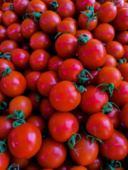 Fresh tomatoes on the market