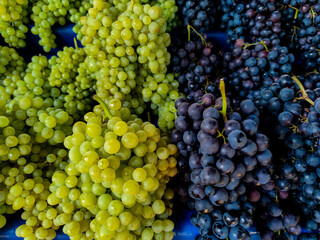 Bunch of different types of fresh grapes