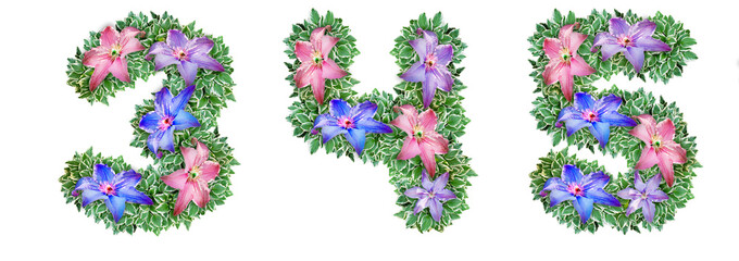 The numbers 3, 4, 5 are made of Clematis colors
