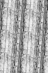 Obraz premium pattern texture structure backdrop wallpaper