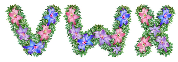 The letters V, W, X are made of Clematis flowers
