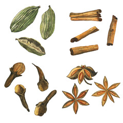 Set of clove spice cinnamon, anise star, cardamom isolated on white background. Watercolor hand drawing illustration. Perfect for food design, menu.