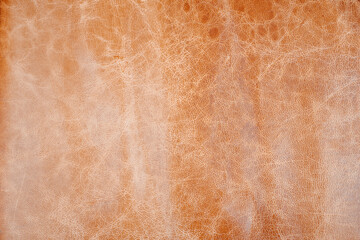 Brown Shiny Leather Texture.
