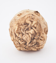 A Celeriac photographed against a white background