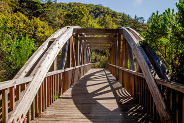 Fototapeta na wymiar Wooden footbridge in the forest