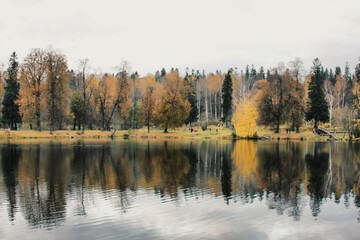 autumn in the forest