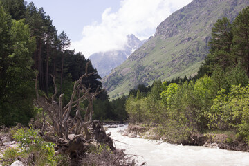 river in the mountains