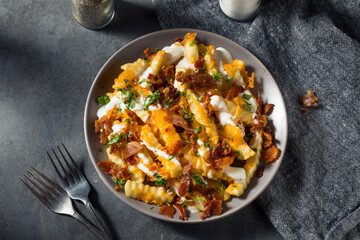Homemade Bacon Cheddar Ranch Loaded French Fries