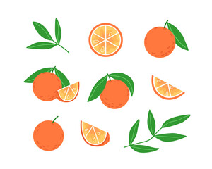 Collection of oranges and leaves in flat style