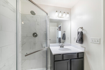 Bathroom interior with vanity sink and corner shower stall