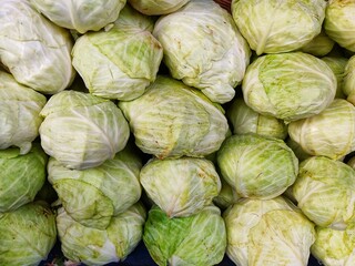 Fototapeta na wymiar fresh cabbage arranged in row close up view