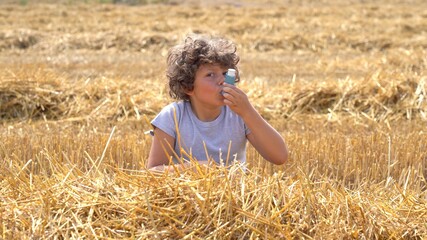Naklejka na ściany i meble Little European caucasian children has allergies from flower pollen in freshly cut wheat field, boy has running nose in flower field and wipe his nose by tissue paper
