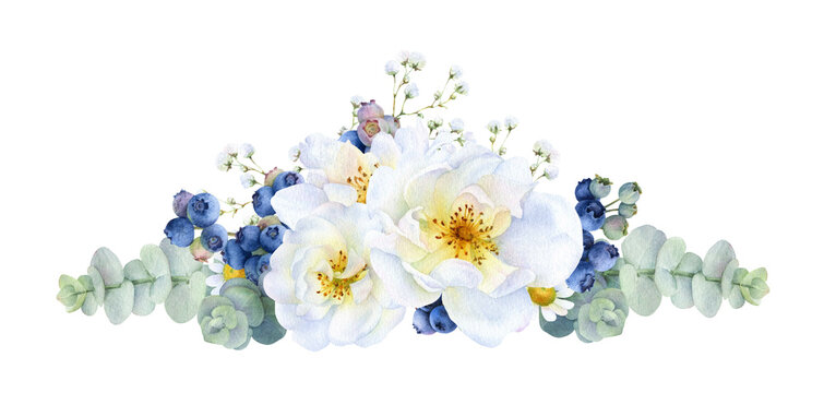 Floral composition of the wild white roses, blueberries, herbs and eucalyptus branches hand painted in watercolor isolated on a white background. Watercolor floral illustration. Floral garland, frame