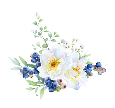 Floral composition/bouquet of the wild white roses, blueberries, herbs and green leaves hand painted in watercolor isolated on a white background. Watercolor floral illustration. Floral arrangement. 