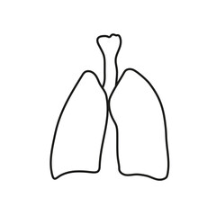 Doodle of the Eucalyptus plant for the treatment of the human respiratory system. Human lungs are isolated.