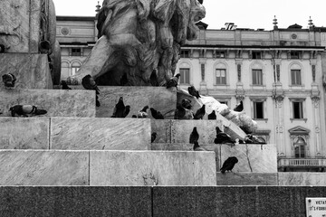 Piccioni su un monumento a scalini