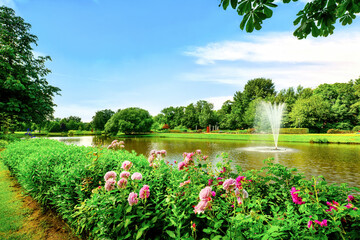 City park of Papenburg in summer with roses in foreground, East Frisia