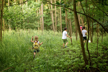 Children, playing in the forest on a summer day