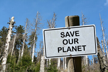 Fototapeta premium Sign with the inscription Save our Planet. In the background a dead forest in Germany