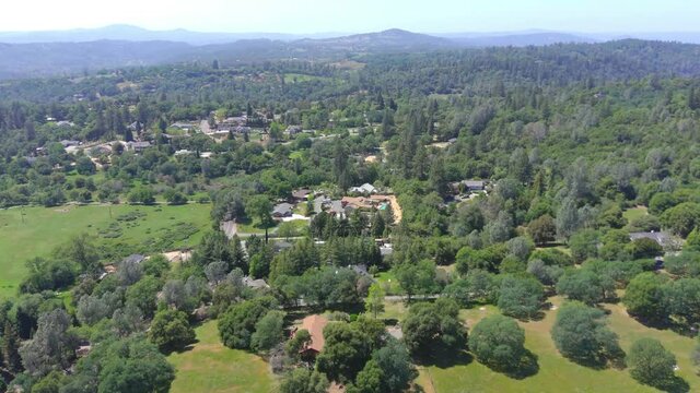 landscape with trees