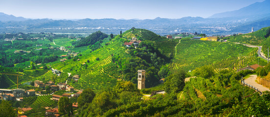 Prosecco Hills, vineyards panorama. Unesco Site. Valdobbiadene, Veneto, Italy - obrazy, fototapety, plakaty