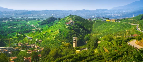 Fotobehang Prosecco Hills, vineyards panorama. Unesco Site. Valdobbiadene, Veneto, Italy © stevanzz