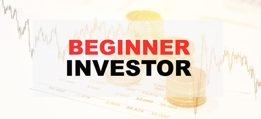 Fototapeta premium BEGINNER INVESTOR concept on financial papers and diagrams.