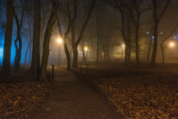 park miejski w nocy