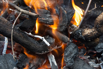 Le&ntilde;a y carb&oacute;n ardiendo para la barbacoa