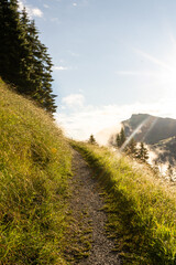 Weg in den Bergen mit Nebel