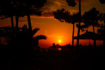 Zachód słońca pod palmami Durres Albania  - obrazy, fototapety, plakaty