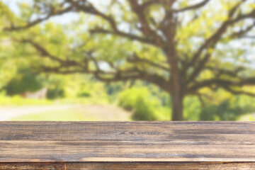 wood table top on blur tree and green foliage background