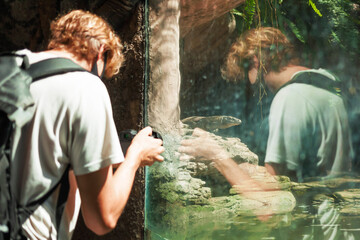 Fototapeta na wymiar Caucasiantraveler taking footage of exotic lizard. Komodo dragon in animal case and a european tourist with a camera watching the animal behind the glass.