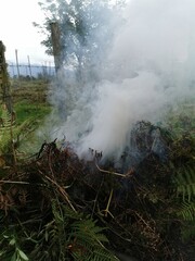 Fototapeta na wymiar humo de quema natural en el campo