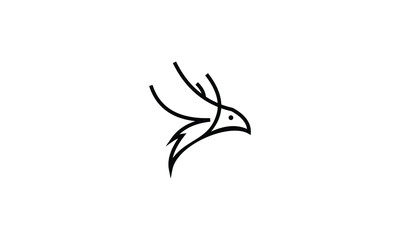 Obraz premium hawk line art