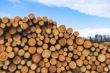 deforestation for roads, wood harvesting, wood as a renewable biological resource, deforestation area for highways