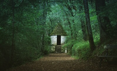 House in the forest