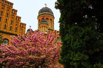 Astonishing landscape of ancient Three Hierarchs Church. Blossom tree border. Natural frame. Blue sky background. UNESCO World Heritage Site. Famous touristic place and travel destination in Europe