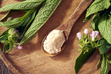 A spoon of comfrey root ointment with fresh symphytum plant, top view - obrazy, fototapety, plakaty