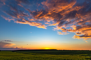 summer evening in the fields