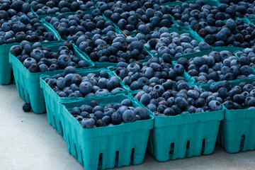 Blueberries for sale in the market