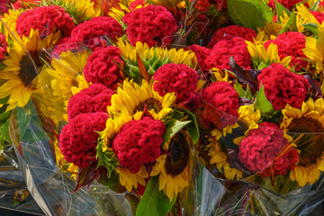 Bright red and yellow flowers for sale.