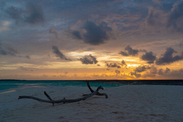 breathtaking view of the gorgeous sky at sunset from the pestled beach of the Maldives island