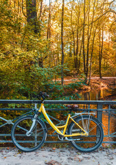 Bicycle on the autumn park background. Weekend walking outdoor. Autumn landscape
