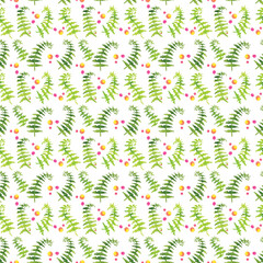 seamless watercolor pattern with fern leaves on a white background.